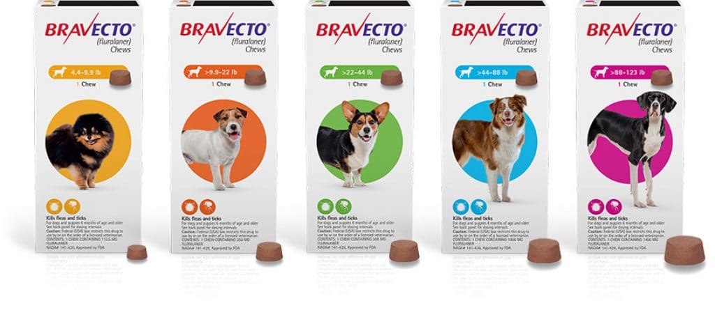 Bravecto Dog And Cat Mail In Rebate Offer
